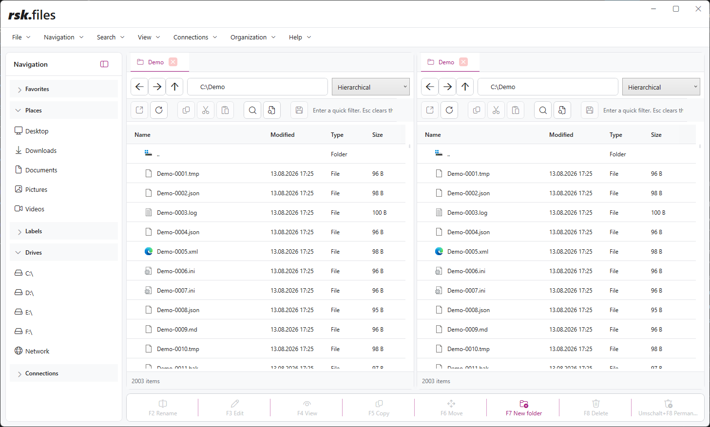 rsk.files user interface