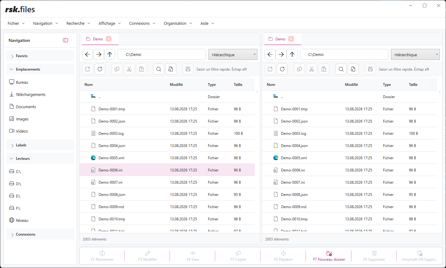 Interface utilisateur de rsk.files